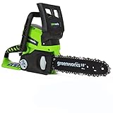 Greenworks Tools 2000007 24V...